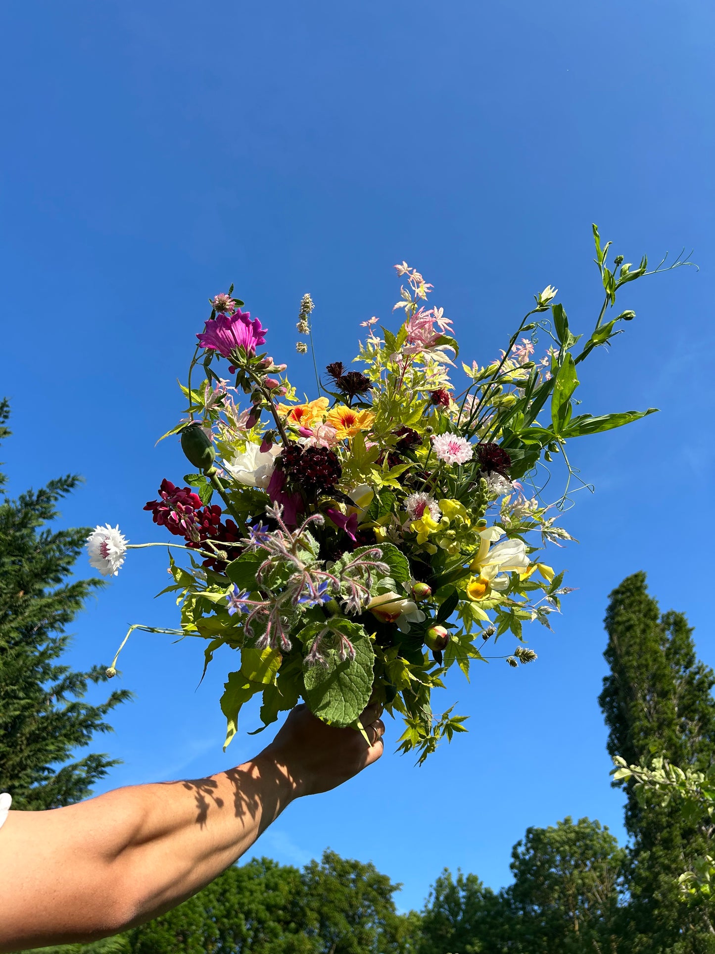 Bouquet de saison